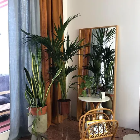 公寓 Rooftop Center Lpa 大加那利岛拉斯帕尔马斯