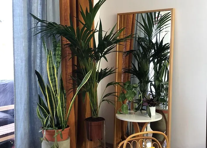 公寓 Rooftop Center Lpa 大加那利岛拉斯帕尔马斯